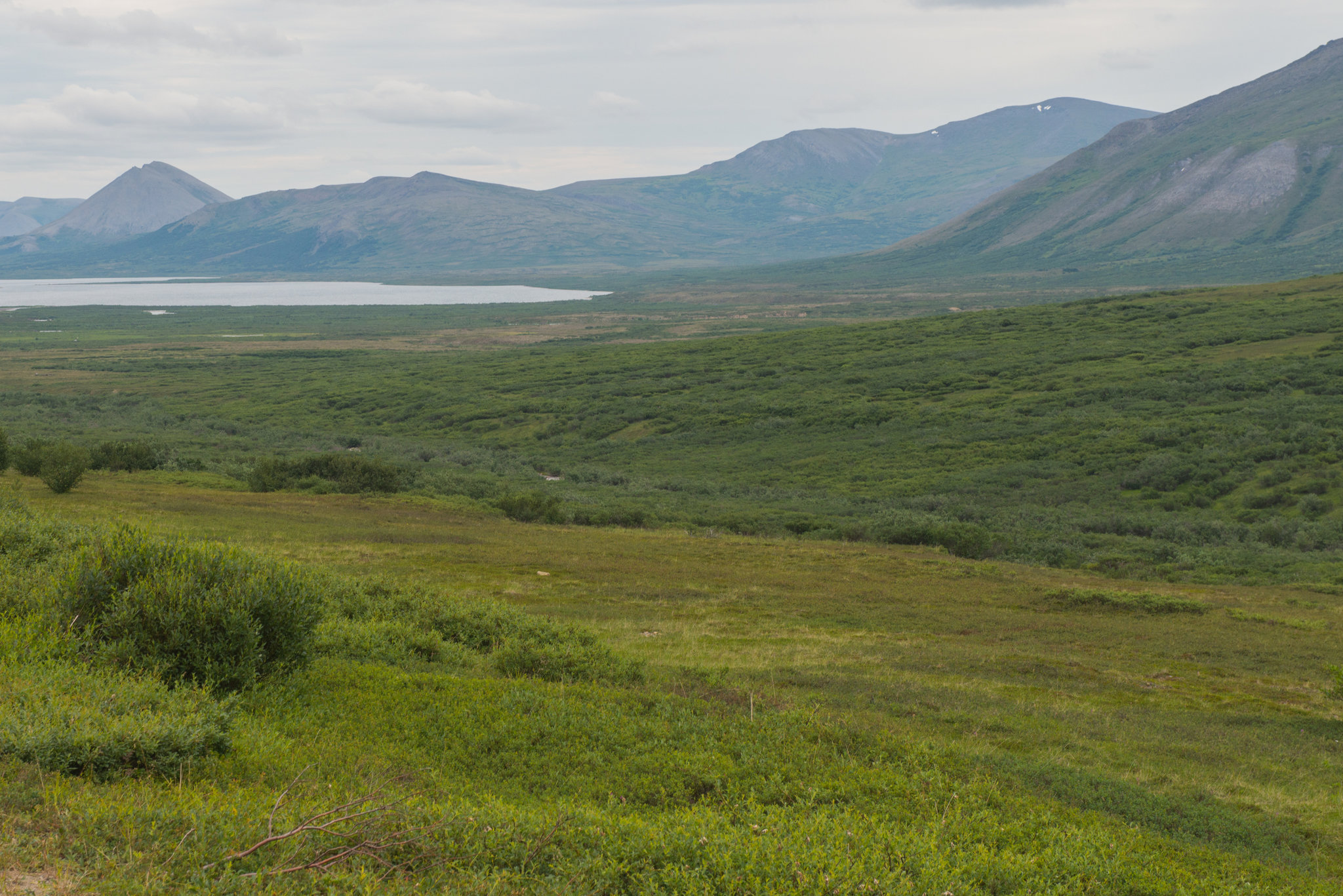 [:eu]Tundra May Be Shifting Alaska to Put Out More Carbon Than It Stores[:]