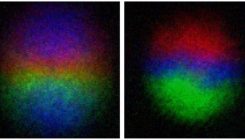 [:eu]Bose–Einstein condensates simulate transformation of elusive magnetic monopoles[:]