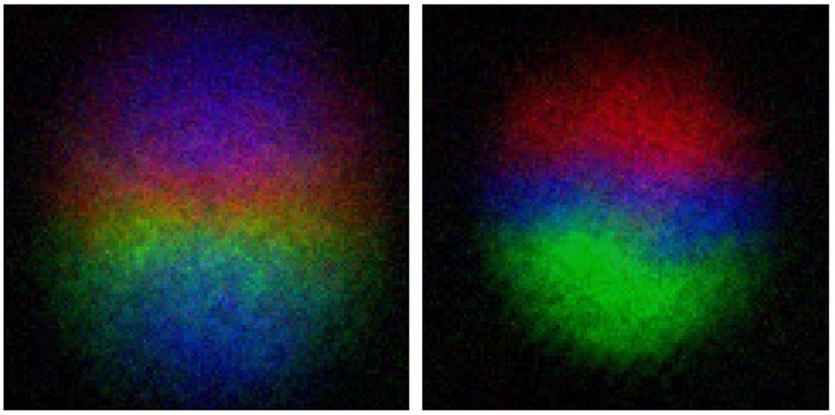 [:eu]Bose–Einstein condensates simulate transformation of elusive magnetic monopoles[:]