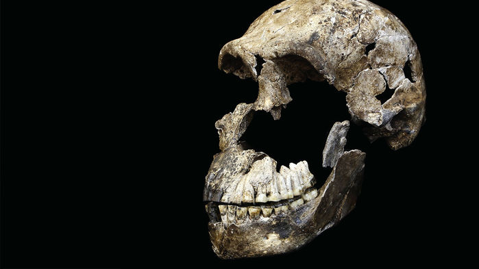 [:eu]This mysterious human species lived alongside our ancestors, newly dated fossils suggest[:]