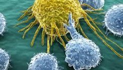[:eu]EEUU aprueba el primer fármaco para cualquier tipo de cáncer[:]