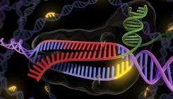 [:eu]La técnica CRISPR es capaz de crear cientos de mutaciones fortuitas[:]
