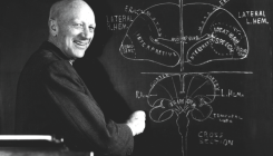 [:eu]When Neurology Becomes Theology[:]