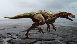[:eu]Dinosaur foot reconstruction fuels Cretaceous footprint debate[:]