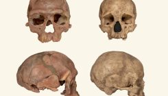 [:eu]Oldest Homo sapiens fossil claim rewrites our species’ history[:]