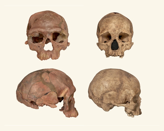 [:eu]Oldest Homo sapiens fossil claim rewrites our species’ history[:]