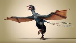 [:eu]How Chinese fossils are rewriting the history of feathered dinosaurs[:]