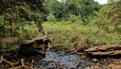 [:eu]Los humanos pudieron salir de África siguiendo los manantiales[:]
