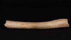 [:eu]In Neanderthal DNA, Signs of a Mysterious Human Migration[:]