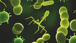 [:eu]The next generation of weapons against antibiotic-resistant superbugs[:]