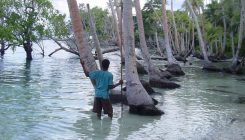 [:es]Cuando el cambio climático devora tu hogar[:]