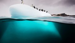 [:es]Artificial warming trial reveals striking sea-floor changes[:]