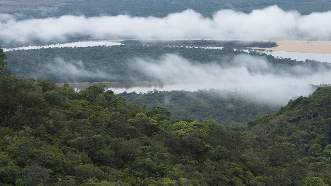 [:es]¿Cuántas especies de plantas hay realmente en el Amazonas?[:]