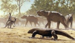 [:es]Giant wombatlike creatures migrated across Australia 300,000 years ago[:]