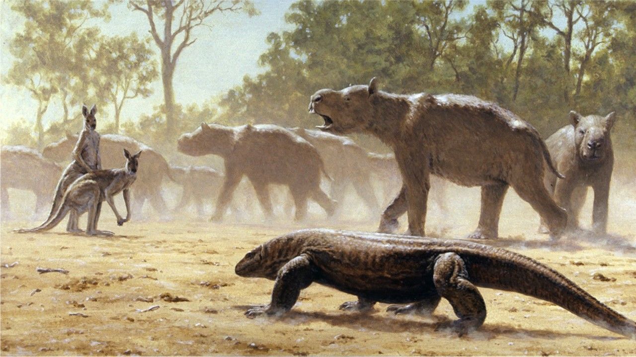 [:es]Giant wombatlike creatures migrated across Australia 300,000 years ago[:]