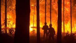 [:es]El cambio climático deja obsoleta la planificación antiincendios[:]