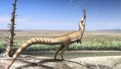 [:es]Camouflage plumage patterns offer clue to dinosaur’s habitat[:]