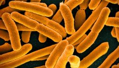 [:es]¿Por qué hay un montón de voluntarios comiendo ‘E. Coli’ modificada genéticamente?[:]