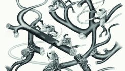 [:es]Getting on cancer’s nerves: A surprising way to thwart tumours[:]