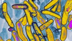 [:es]Scientists just added two functional letters to the genetic code[:]