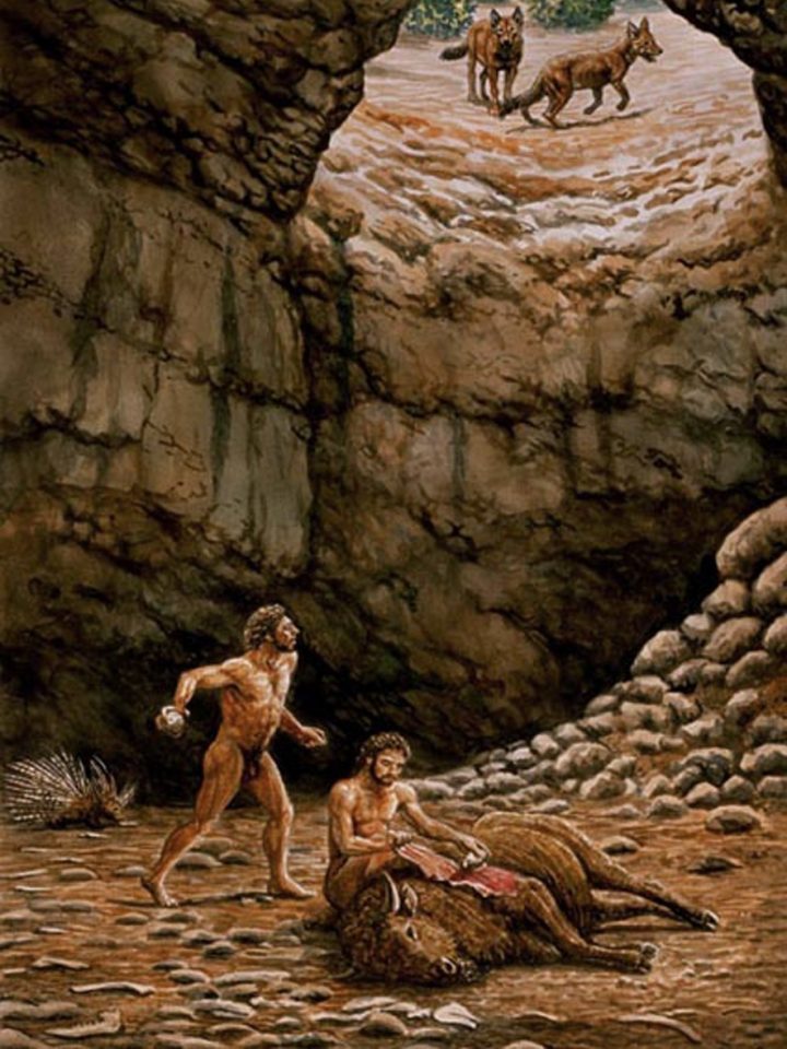 [:es]La aventura de Atapuerca[:]