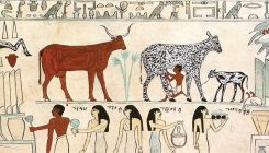 [:es]How taming cows and horses sparked inequality across the ancient world[:]