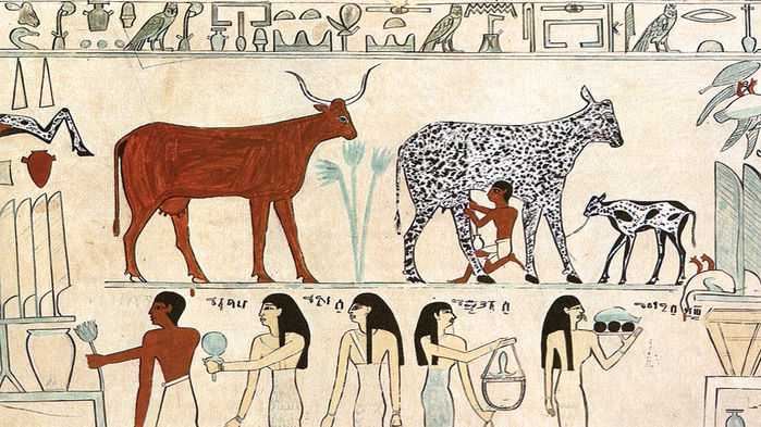 [:es]How taming cows and horses sparked inequality across the ancient world[:]