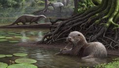 [:es]La nutria gigante: una voraz sorpresa de la prehistoria[:]