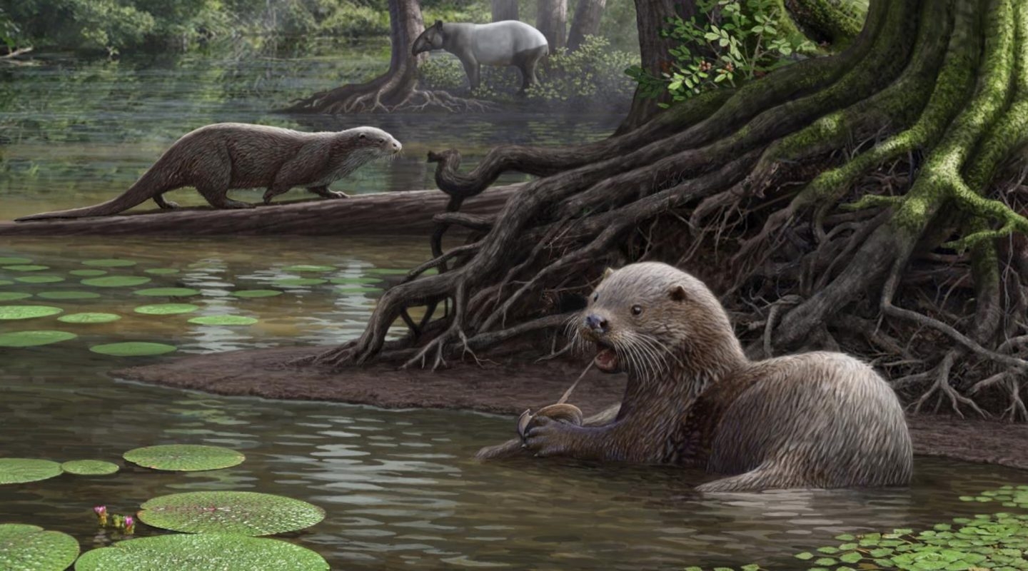 [:es]La nutria gigante: una voraz sorpresa de la prehistoria[:]