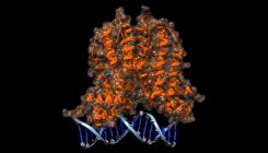 [:es]New Biosensor Could Help Identify Antibiotic-Producing Bacteria[:]