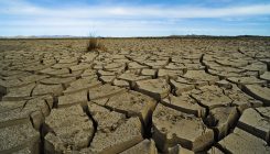 [:es]El futuro más negro del cambio climático es también el más probable [:]