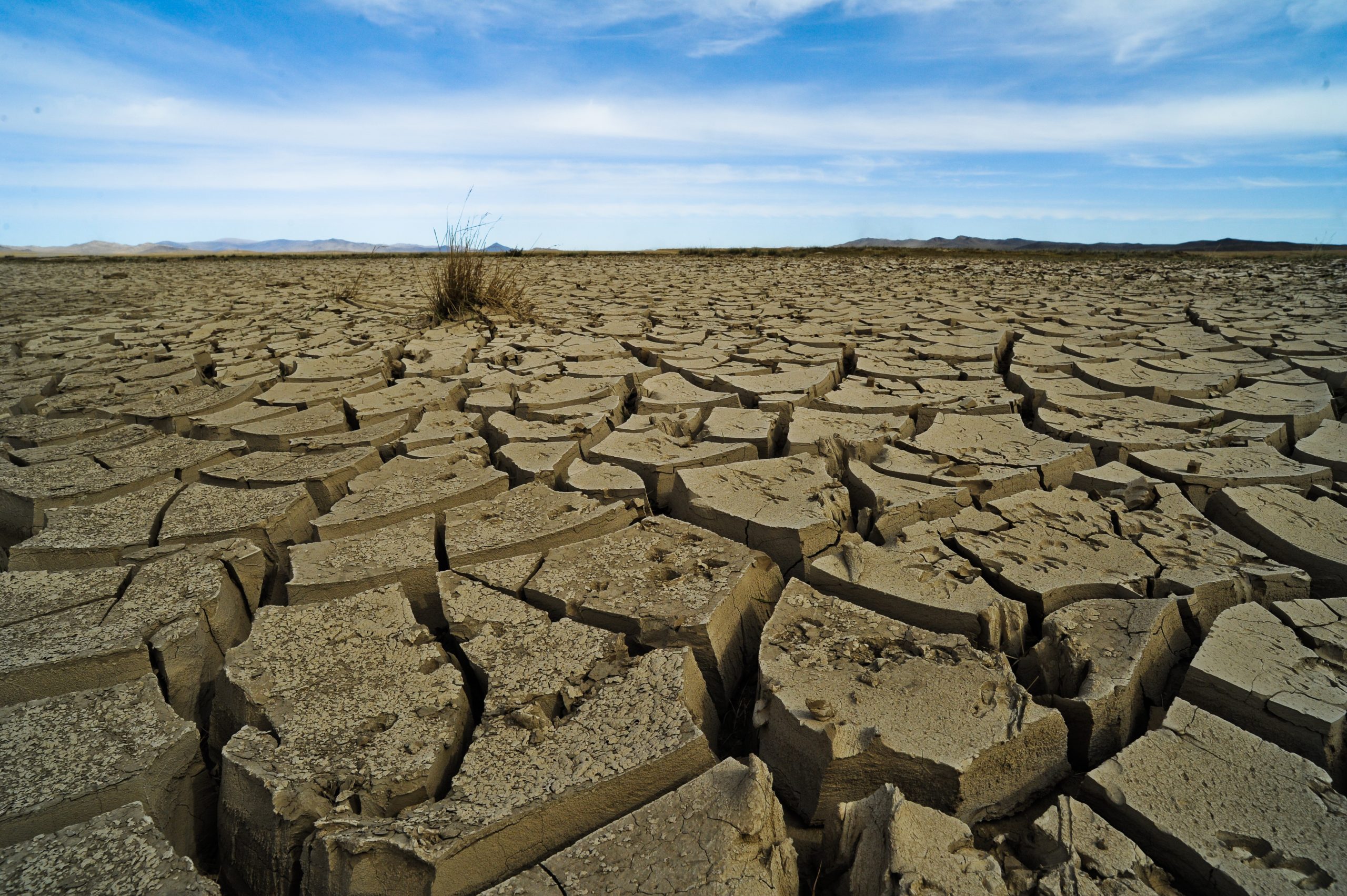 [:es]El futuro más negro del cambio climático es también el más probable [:]