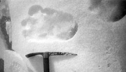 [:es]La ciencia nunca matará al yeti[:]