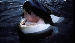 [:es]Orca learns to mimic human speech[:]