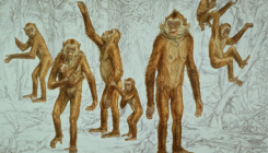 [:es]Las faunas invasoras causaron la extinción del último hominoideo europeo del Mioceno[:]
