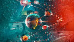 [:es]How to see a memory[:]