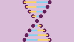 [:es]How the immune system could stymie some CRISPR gene therapies[:]