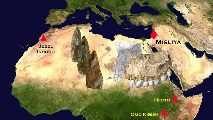 [:es]Afrikatik kanpoko gizaki modernoen arrasto zaharragoak aurkitu dituzte[:]