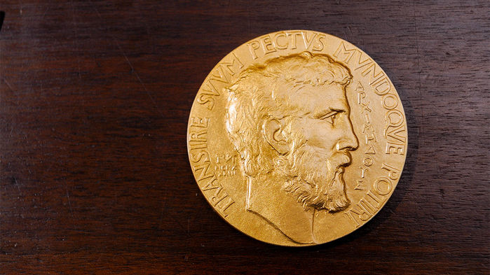 [:es]Fields Medal was never meant for ‘the greatest mathematical genius’[:]