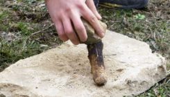 [:es]Could these be the oldest Neandertal tools made with fire?[:]