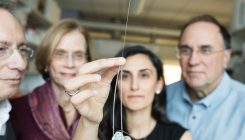 [:es]Una aguja ultrafina para llevar medicamentos al cerebro[:]