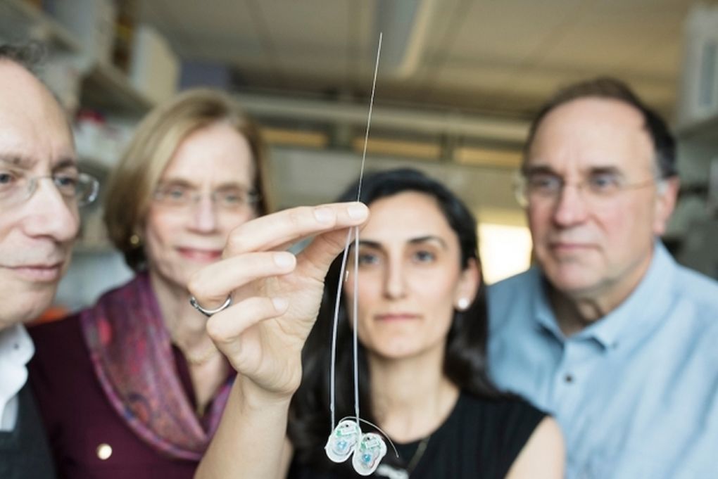 [:es]Una aguja ultrafina para llevar medicamentos al cerebro[:]