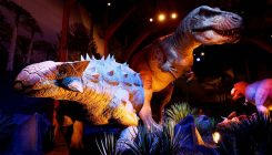 [:es]Most ankylosaurs were fossilized belly up. Now, scientists think they know why[:]