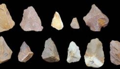 [:es]Indian aurkitutako tresna batzuek kolokan jarri dute gure espeziearen historia[:]