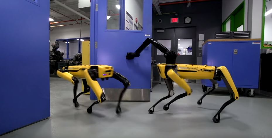 [:es]Los perros-robot de Boston Dynamics han aprendido a coordinarse y abrir puertas[:]