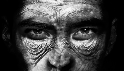[:es]It’s Time to Make Human-Chimp Hybrids[:]