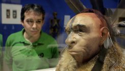 [:es]No human DNA found in Neanderthal genome[:]