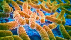 [:es]Non-antibiotic drugs promote antibiotic resistance[:]