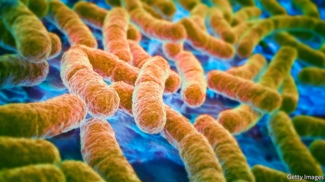 [:es]Non-antibiotic drugs promote antibiotic resistance[:]