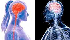 [:es]El médico machista que defendía que el hombre es más inteligente que la mujer[:]